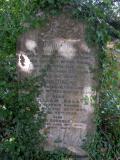 image of grave number 94119